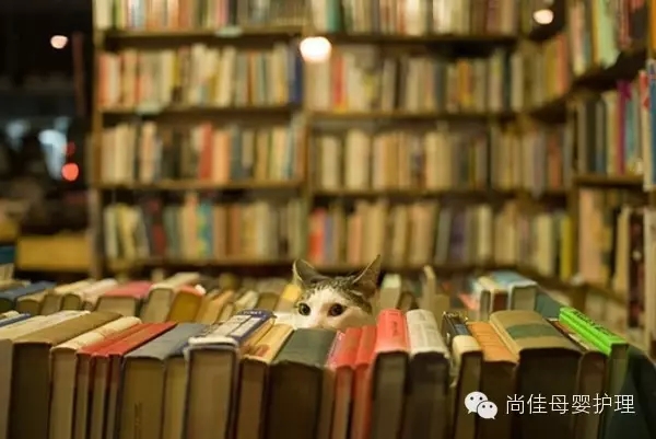 家政服務(wù)員中五大錯誤要點(diǎn)，您中招了嗎？